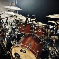 Dw collector purple core hybrid shells (unique)