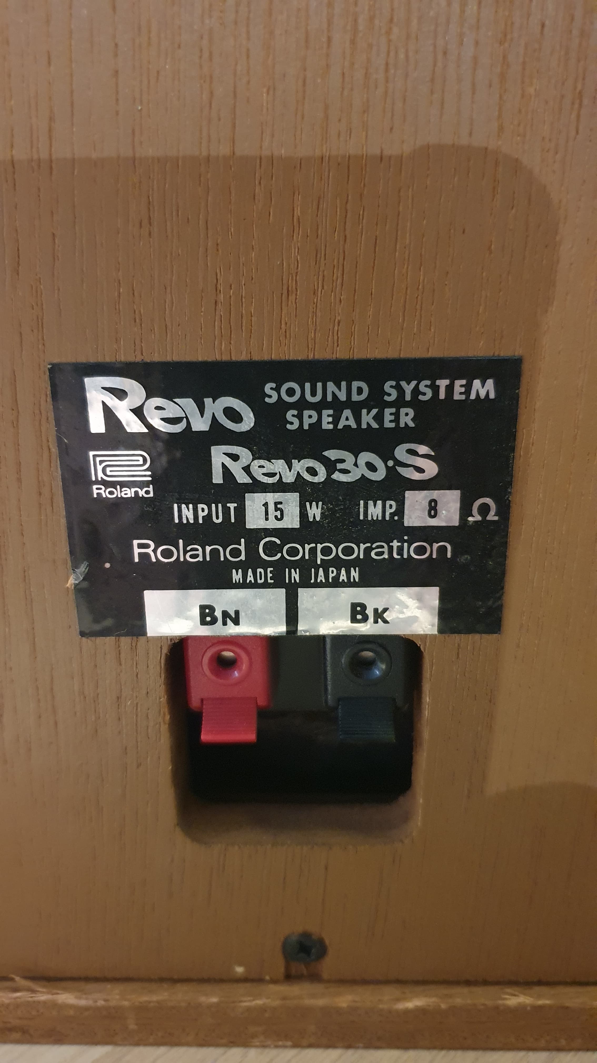 Roland Revo 30 (98414)