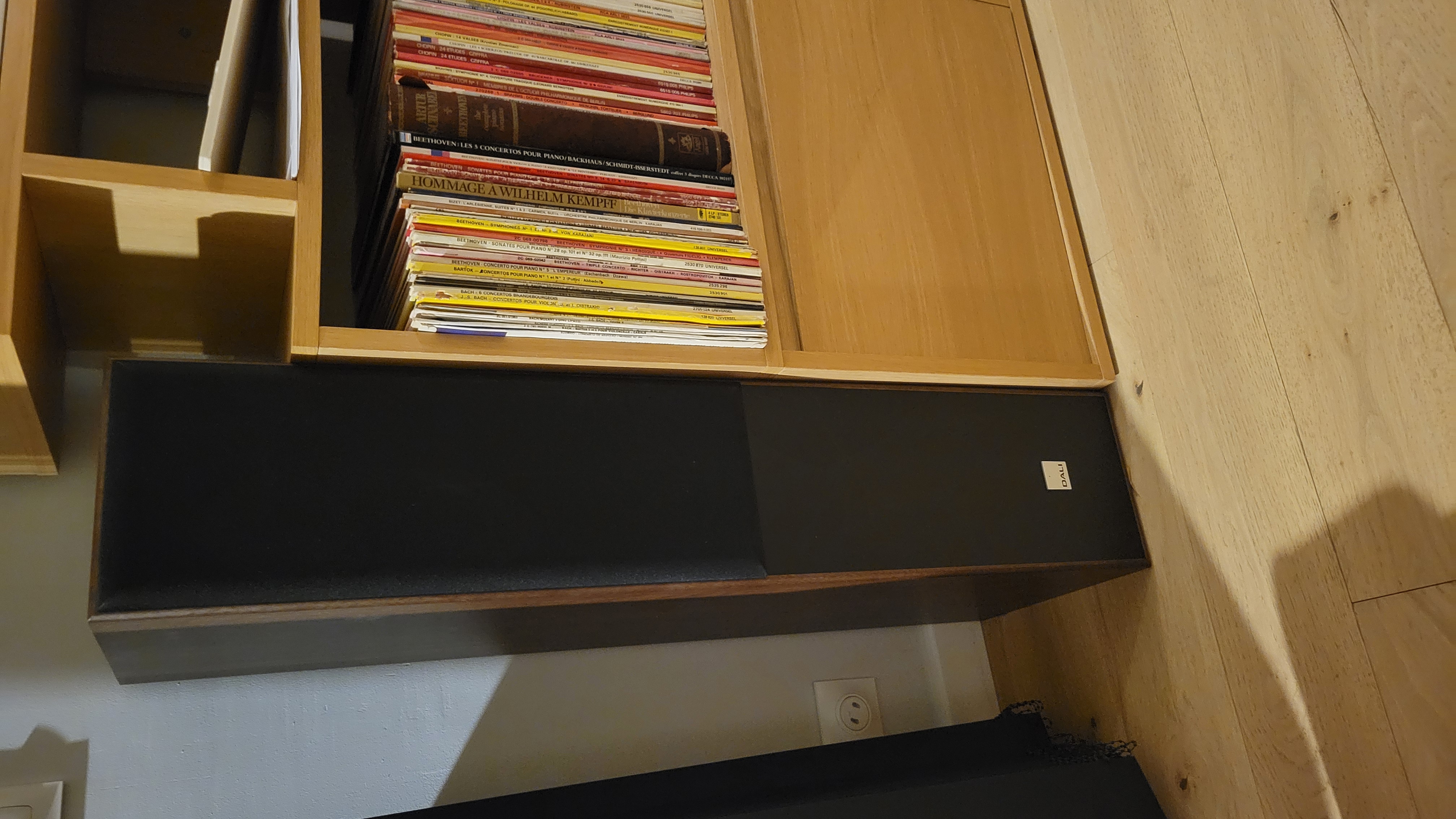 Enceintes Hifi Dali Spektor 6 Noyer