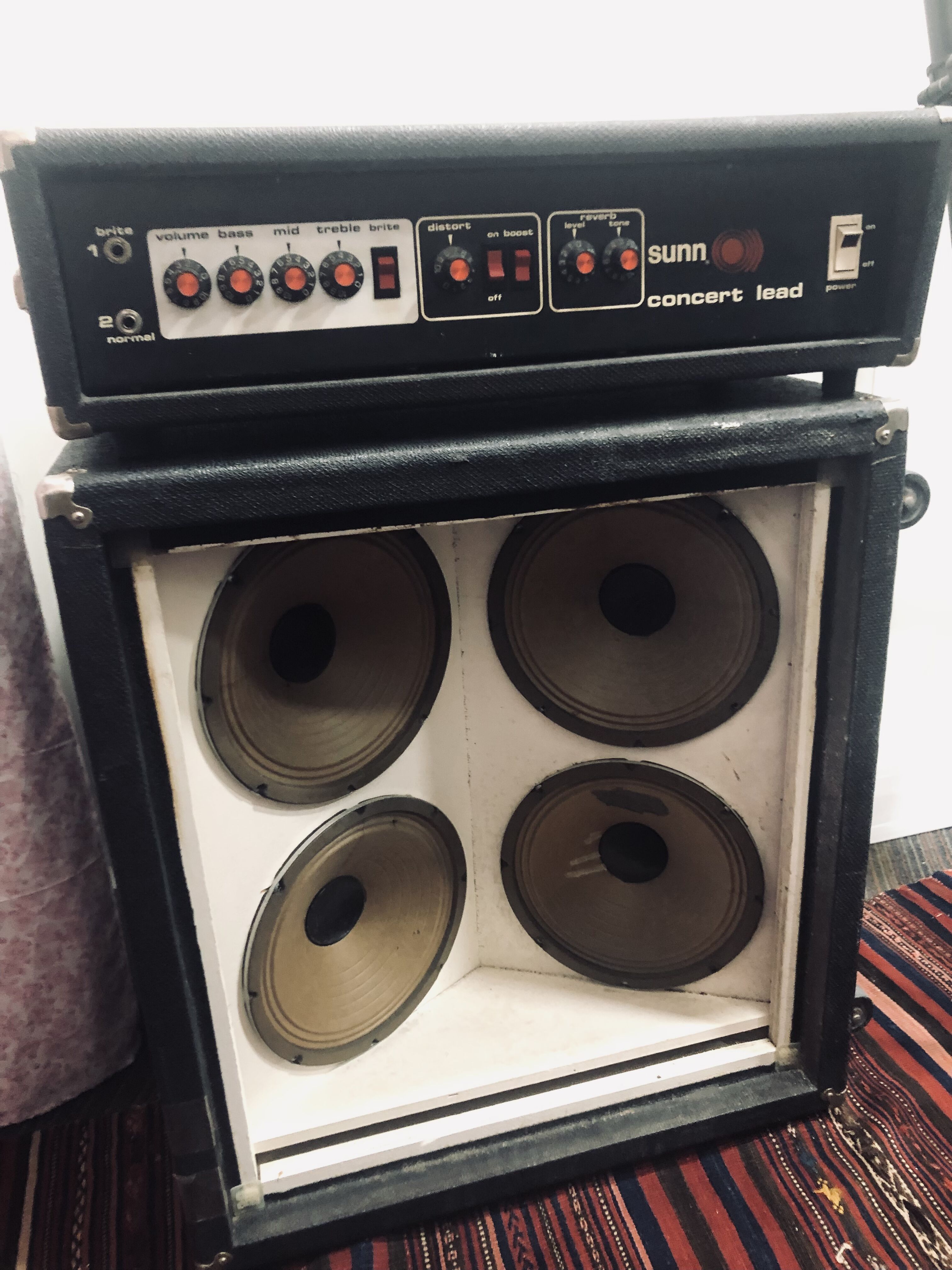 Vends Sunn Concert Lead