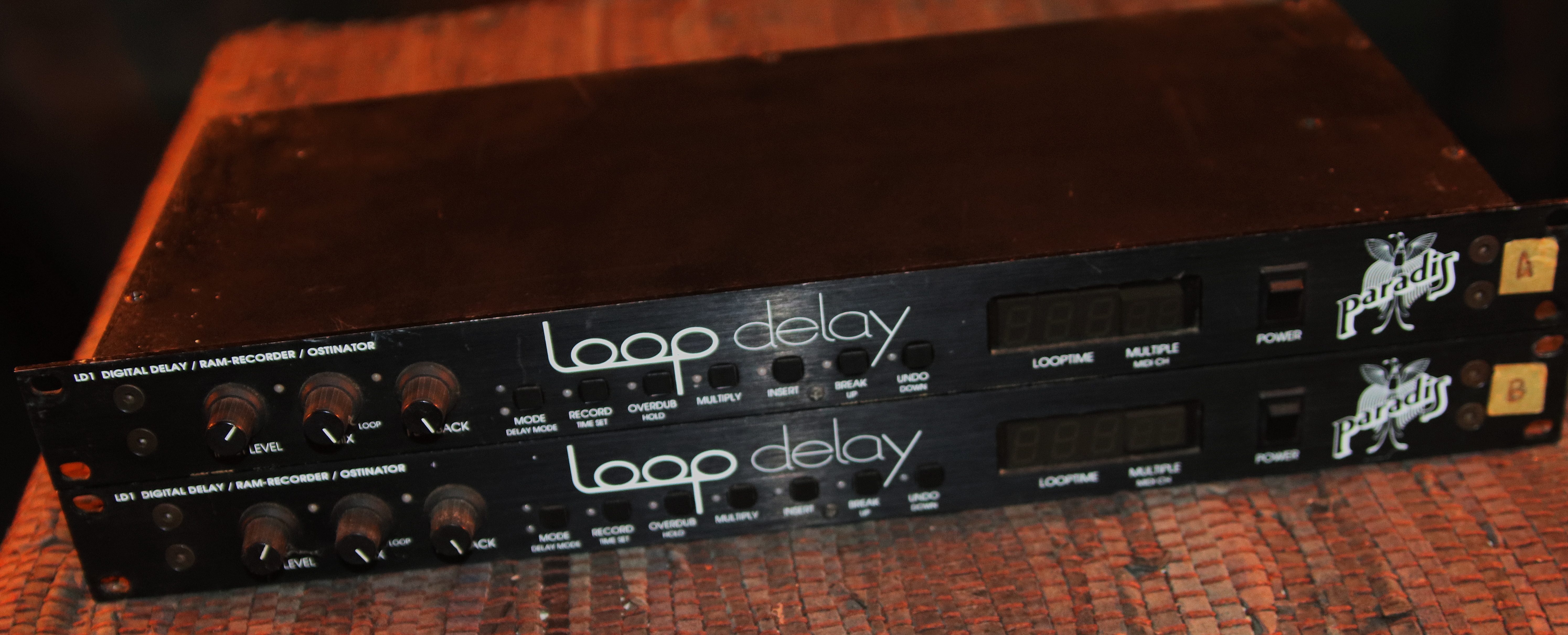 Paradis Loop Delay x 2
