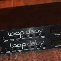 Paradis Loop Delay x 2