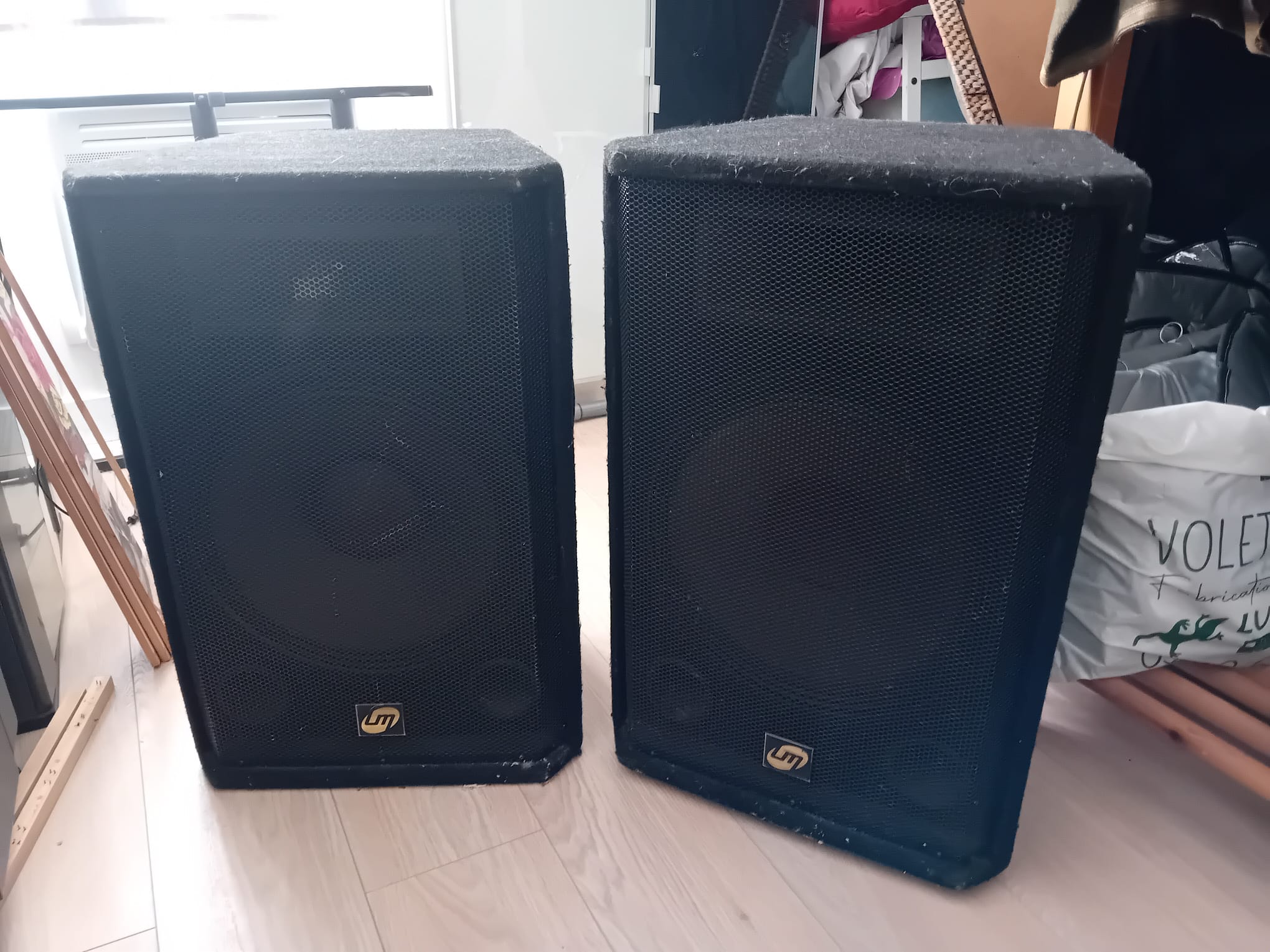 paire enceintes LM P-15H