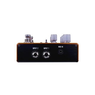 Pathways Reverb & TremoloSIDE Pathways Reverb & TremoloSIDE