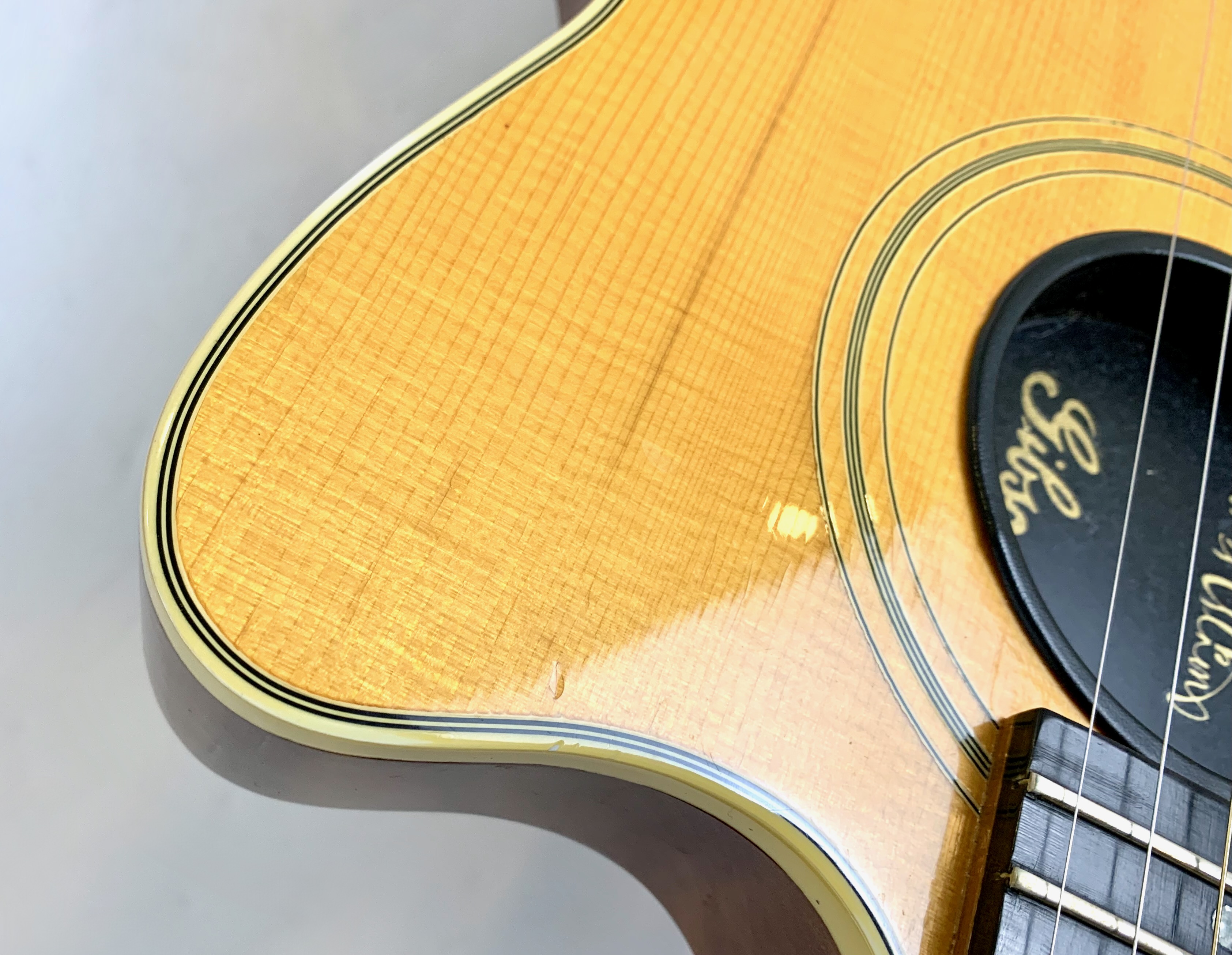 Gibson Chet Atkins SST (32290)