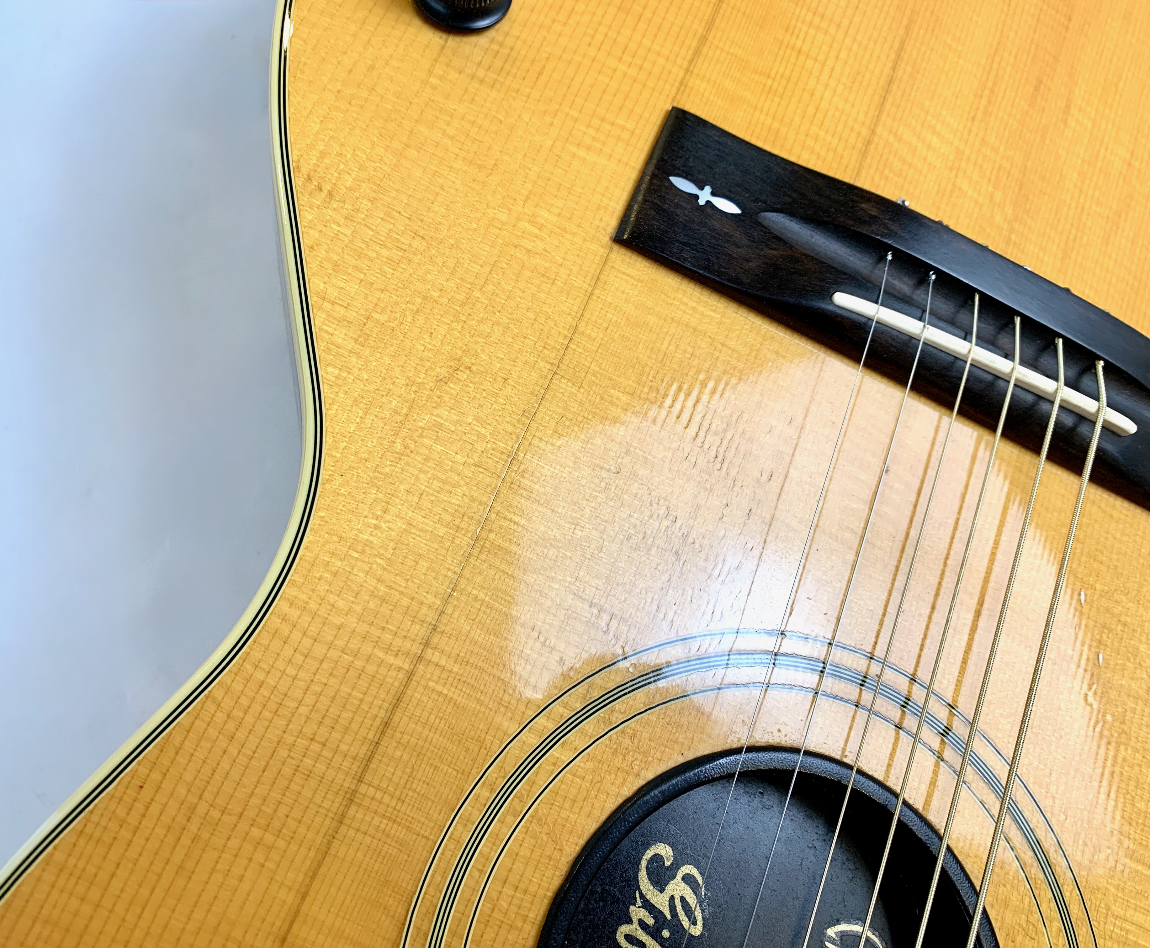 Gibson Chet Atkins SST (76445)