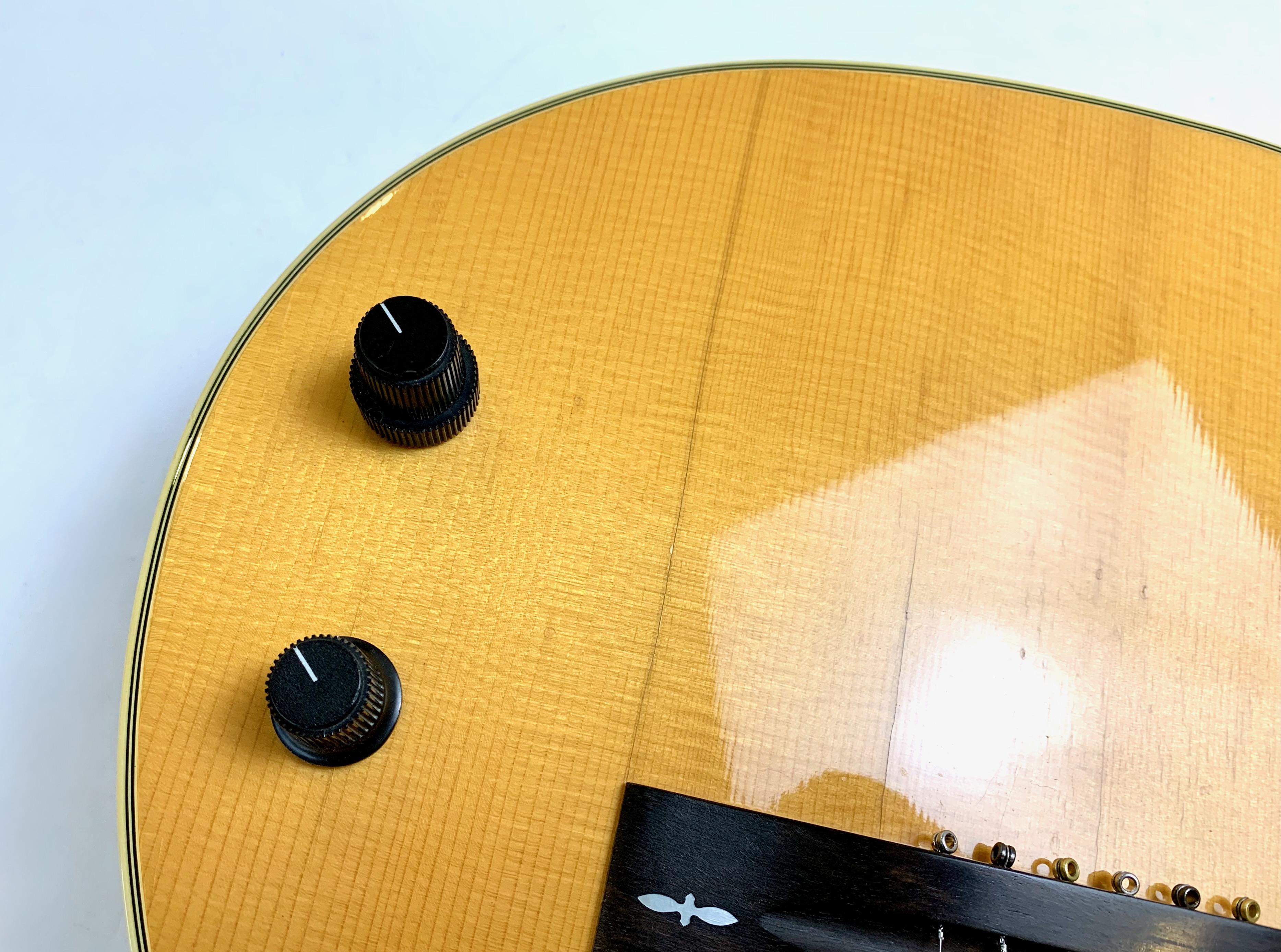 Gibson Chet Atkins SST (95329)