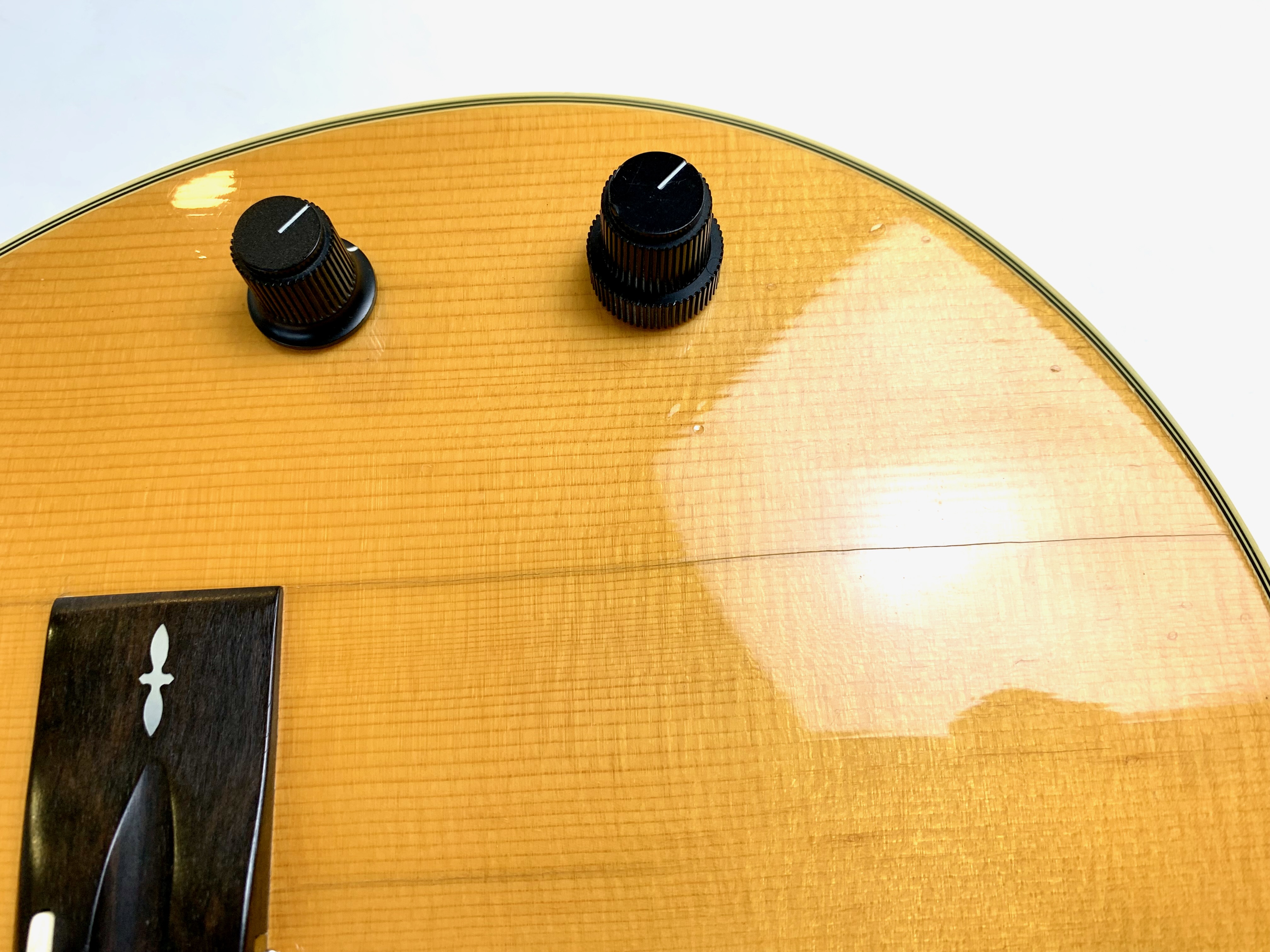 Gibson Chet Atkins SST (60098)
