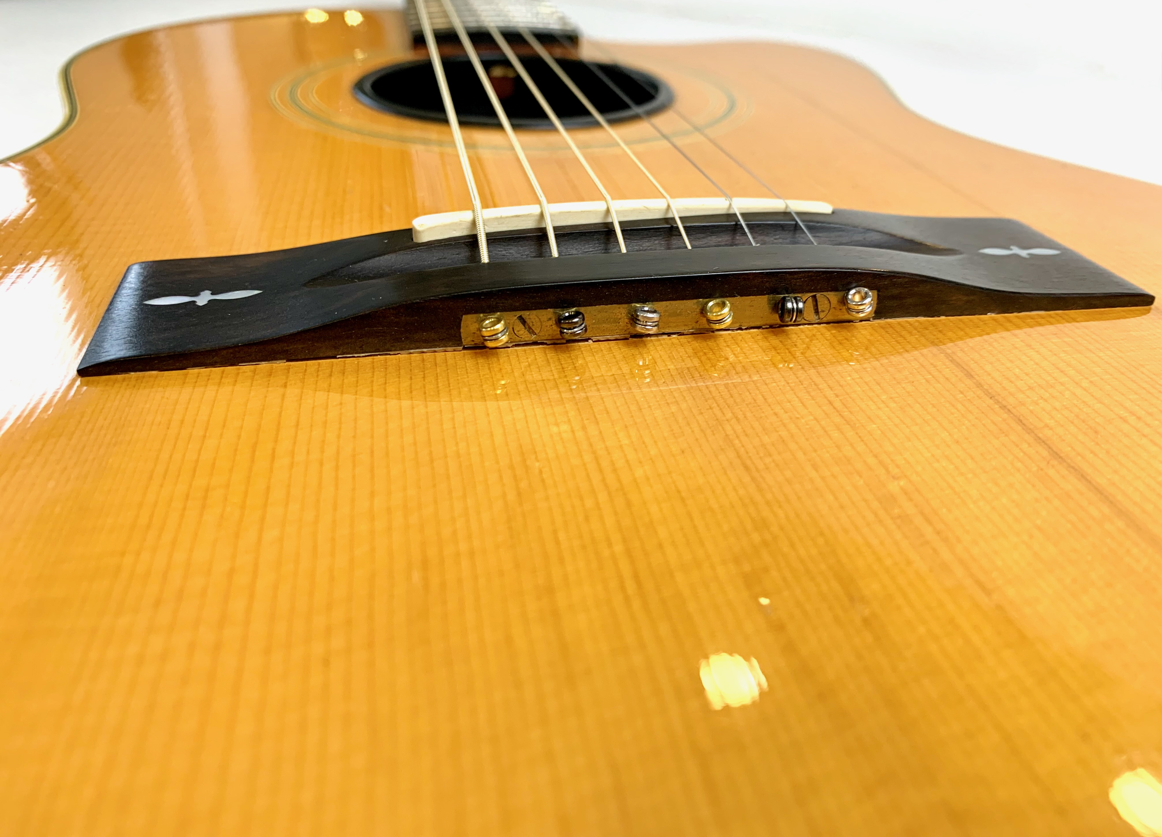 Gibson Chet Atkins SST (73863)
