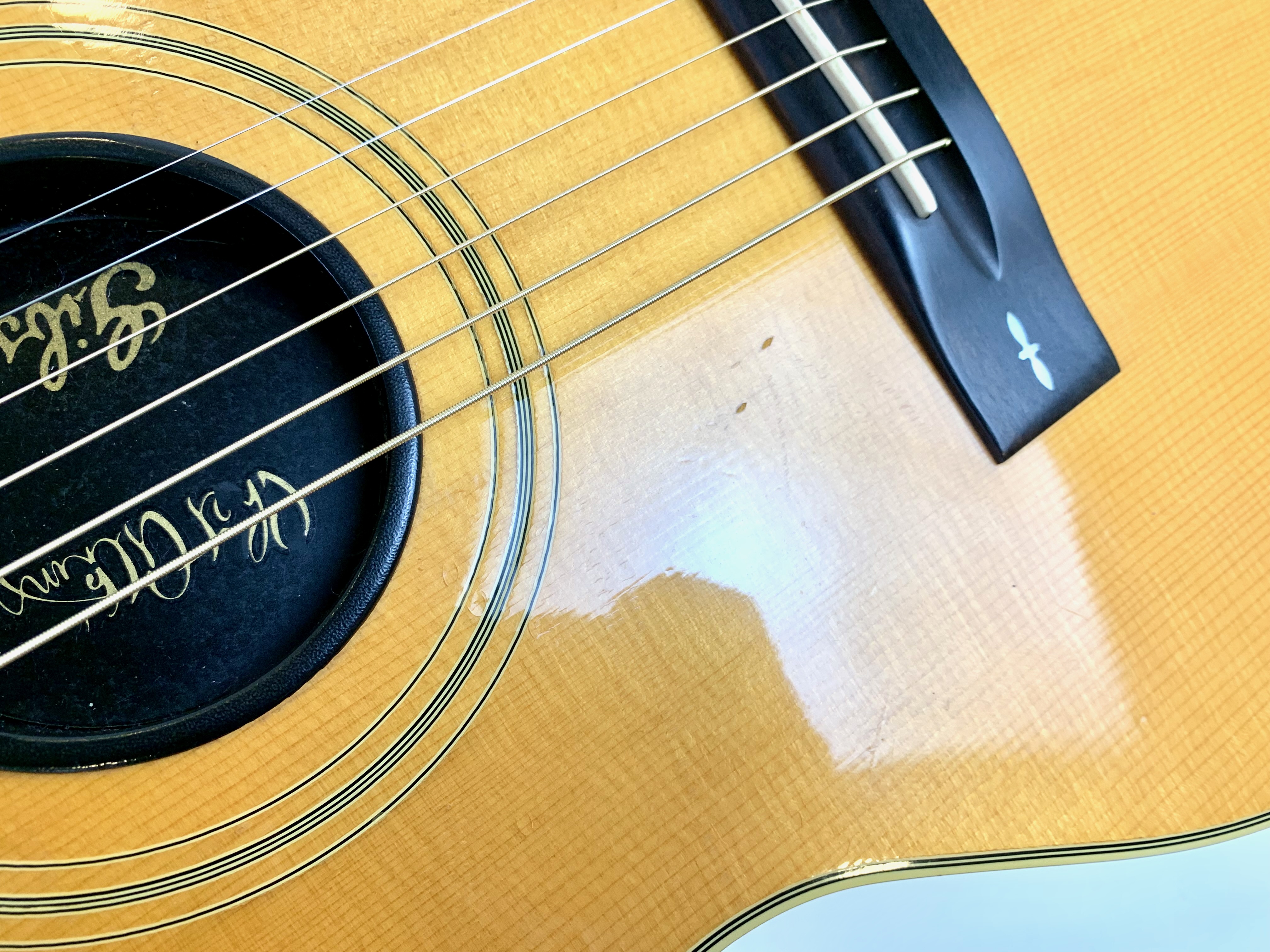 Gibson Chet Atkins SST (12128)