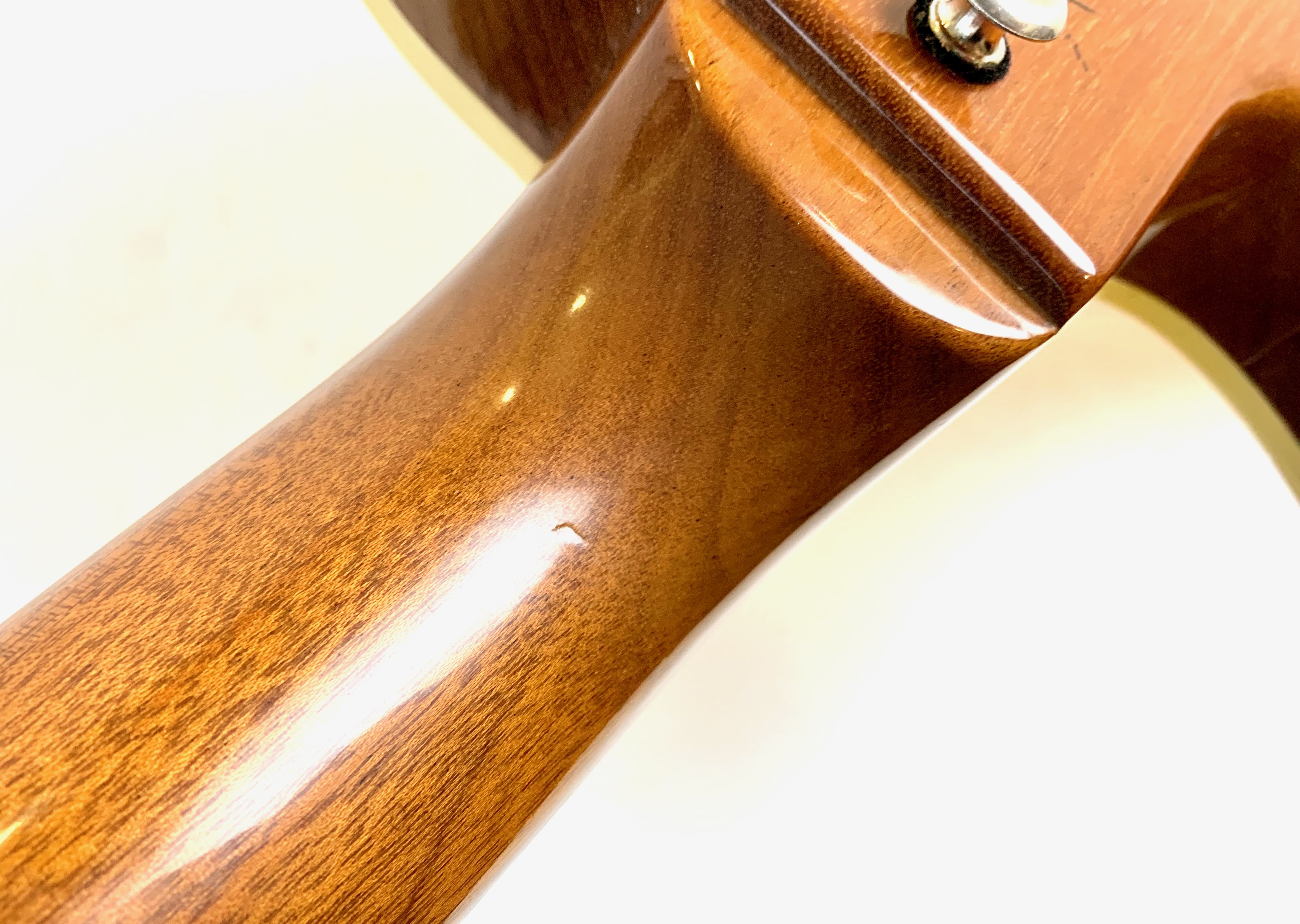 Gibson Chet Atkins SST (82286)