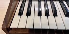 Synthétiseur Kawai 100f + Kenton Pro Solo