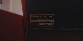 Vends Minimoog Voyager