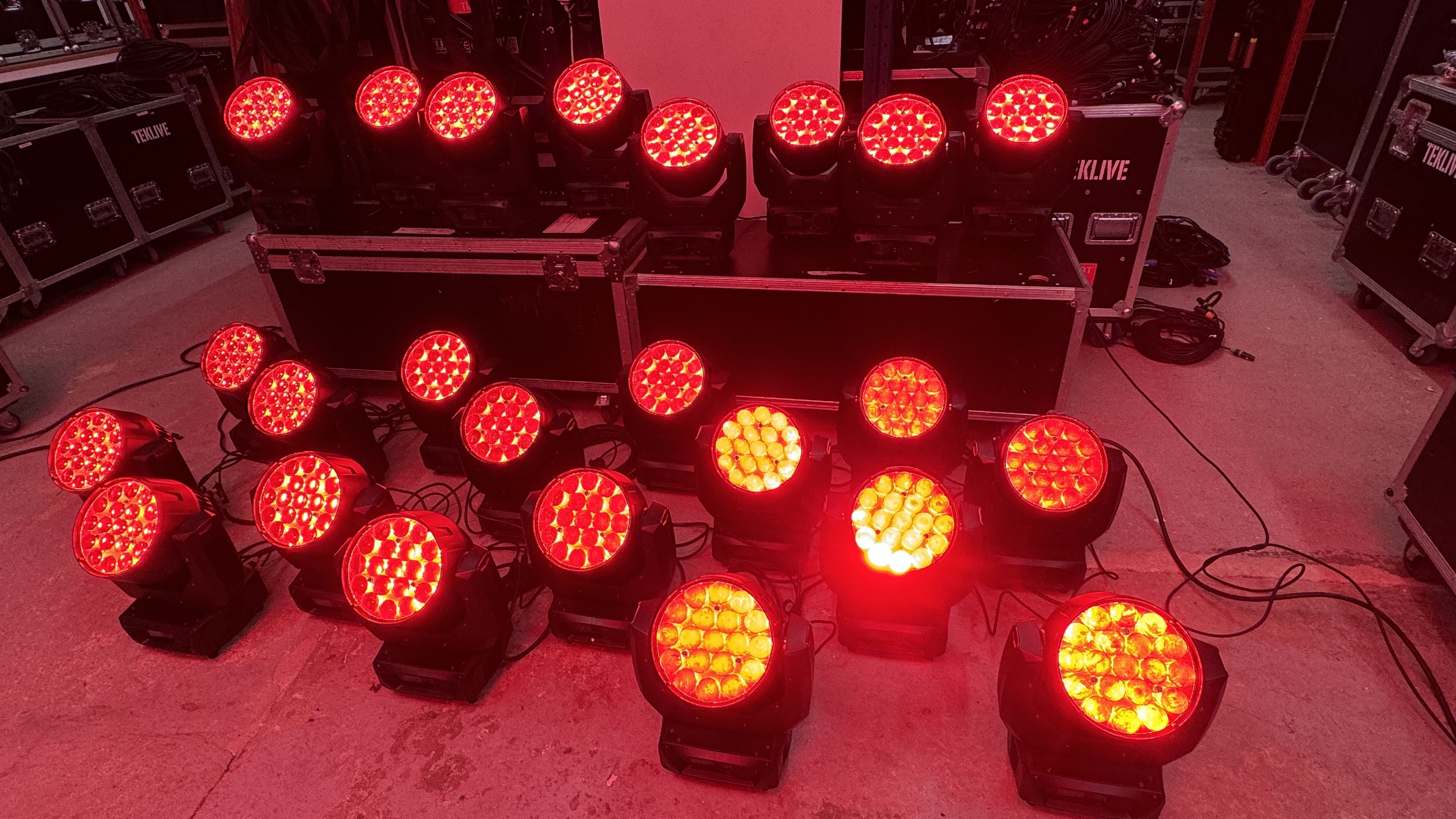 IMG 2993