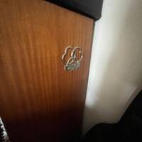 Spring Reverb AKG BX 20