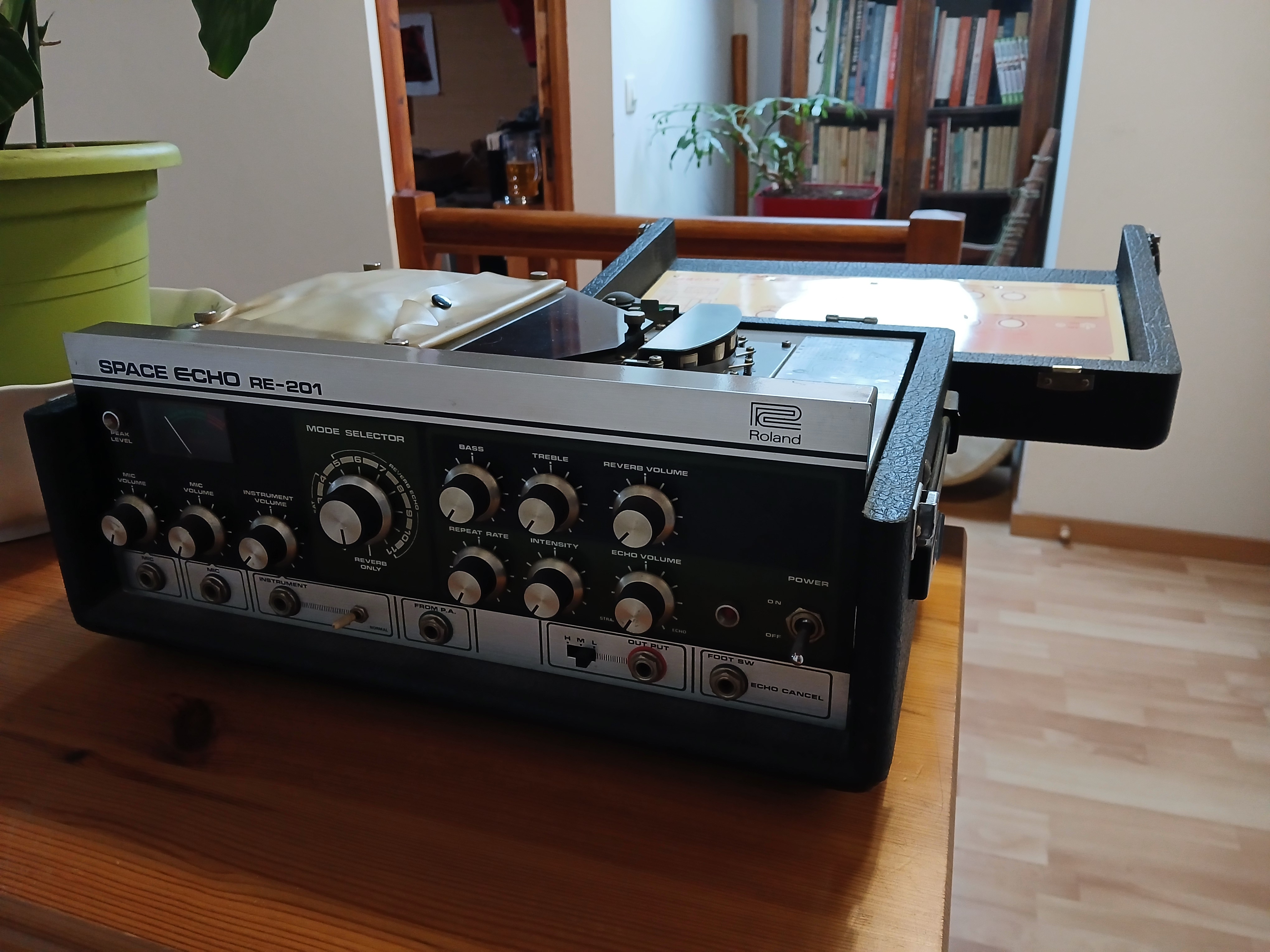 Roland RE-201 Space Echo (53150)