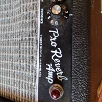 Fender pro reverb