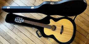 Vends étui guitare THOMANN Western Guitare Case 12