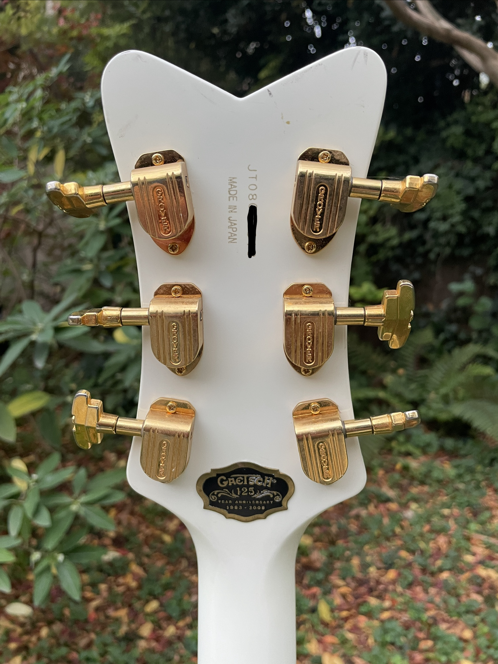 Gretsch G6136DC White Falcon Double Cutaway (11748)