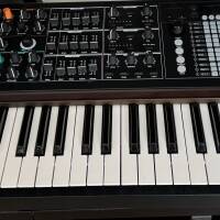 Arturia PolyBrute – Excellent état – studio non-fumeur