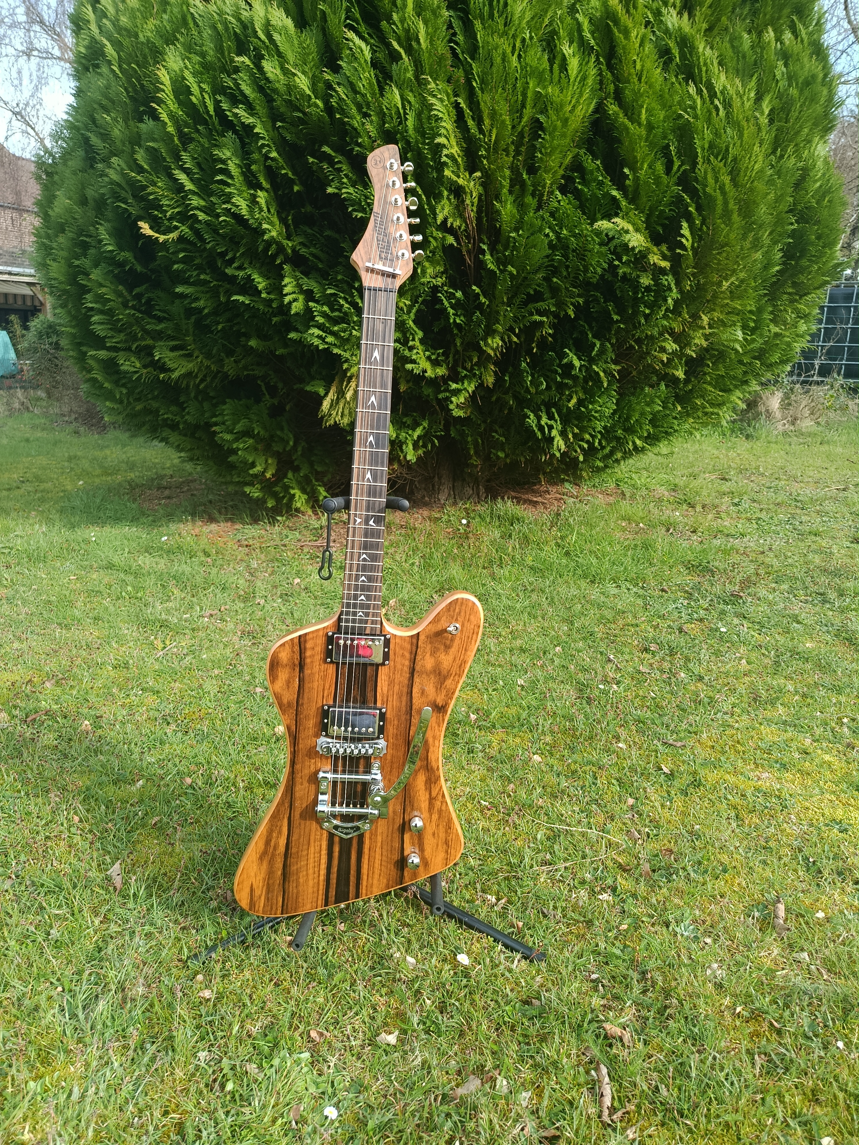 Belle Firebird luthier Henriques made in France échange possible en mains propres