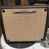 Vends Ampli troubadour T15II