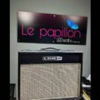LINE 6 Flextone iii plus 12 inch