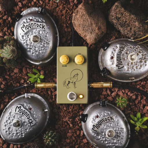 CoyoteLigfestyle CoyoteLigfestyle