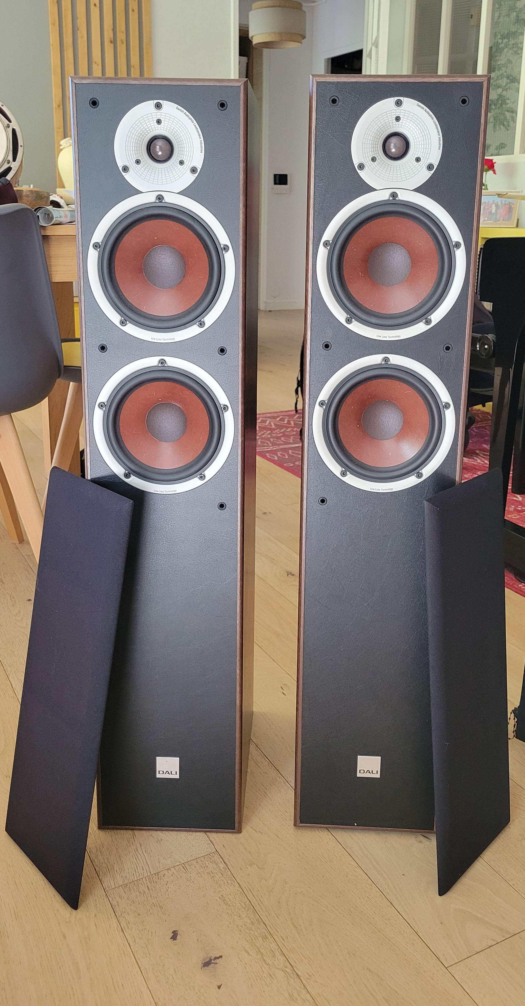 Enceintes Hifi Dali Spektor 6 Noyer