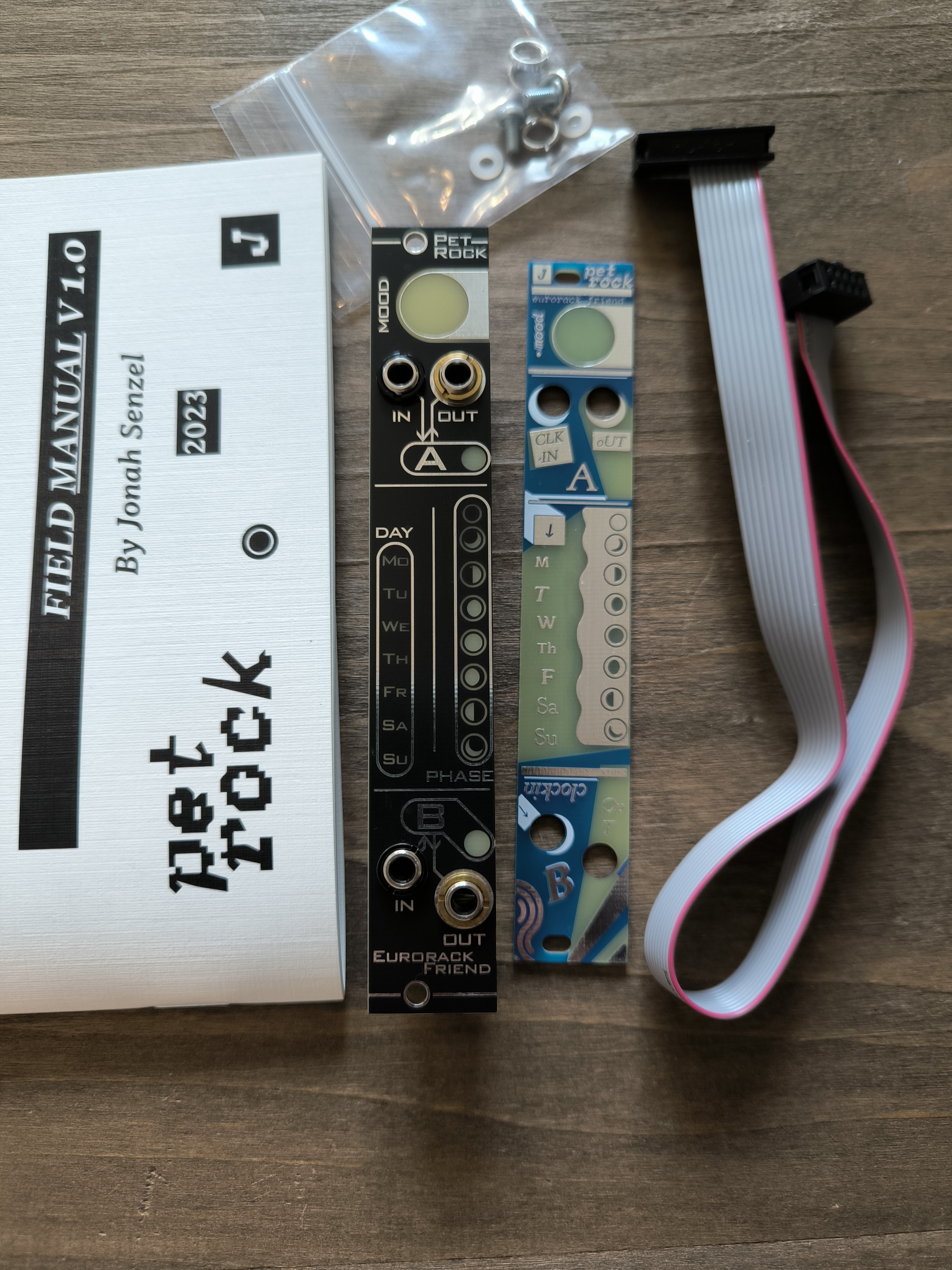 Jonah Senzel Pet Rock