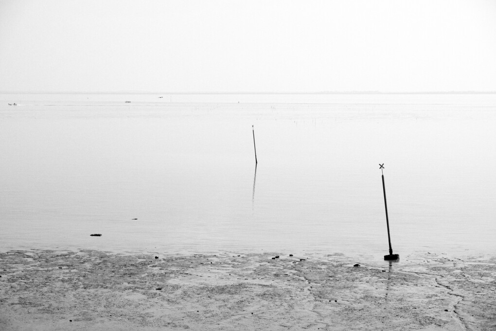 6797398.jpeg 6797398.jpeg