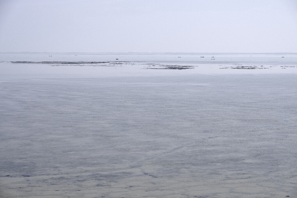 6797399.jpeg 6797399.jpeg