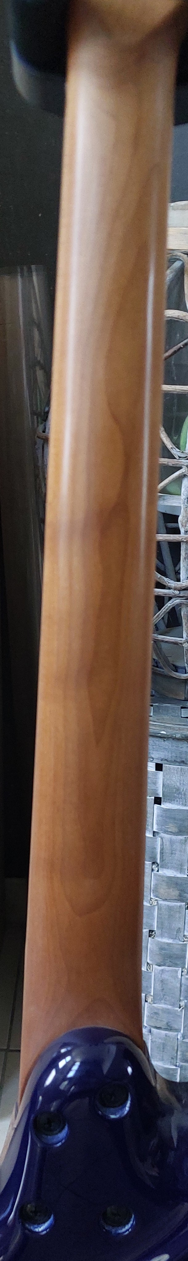 Ibanez 05