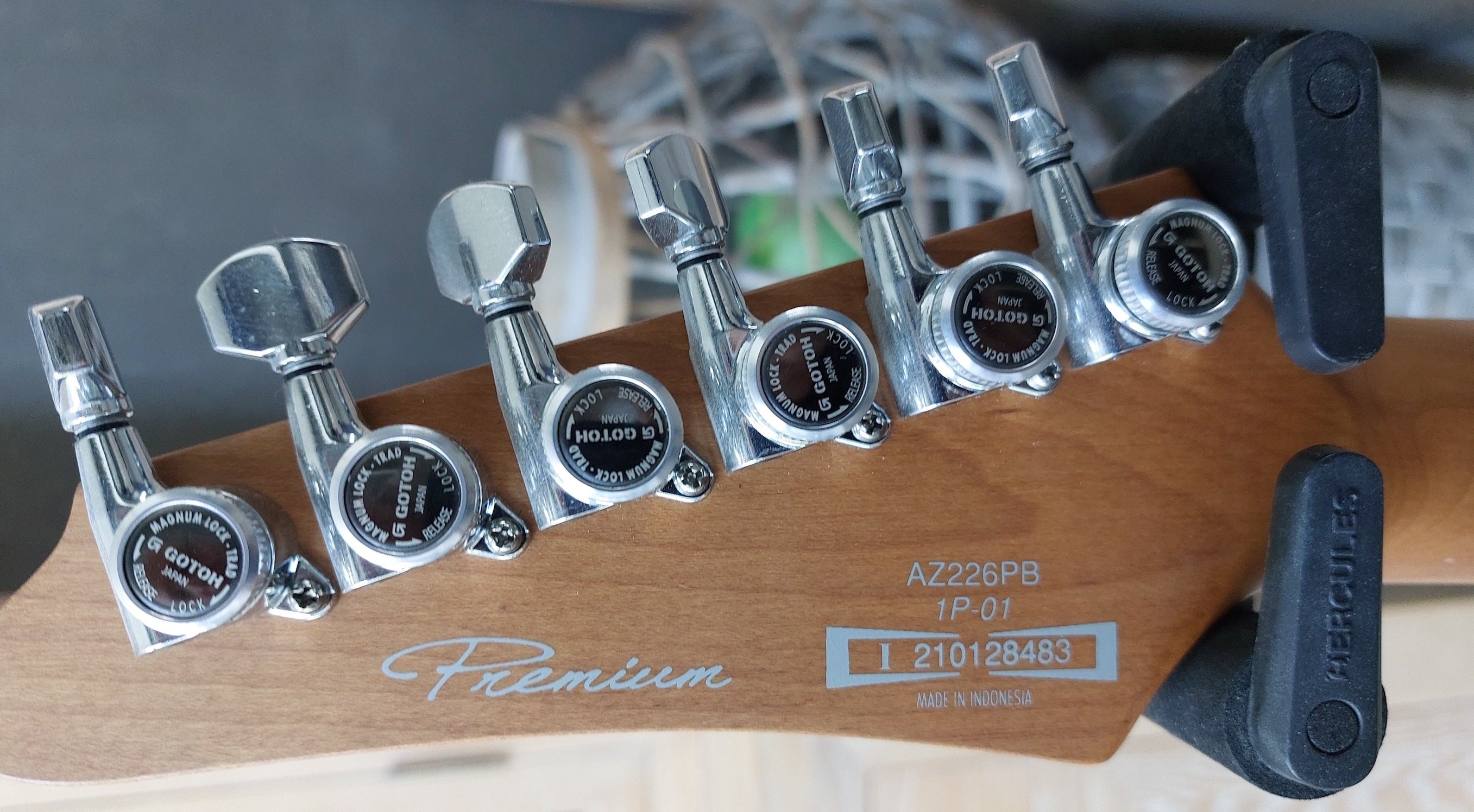 Ibanez 06