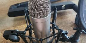 Vends Micro Behringer TM1