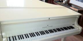 Piano à queue YOUNG CHANG