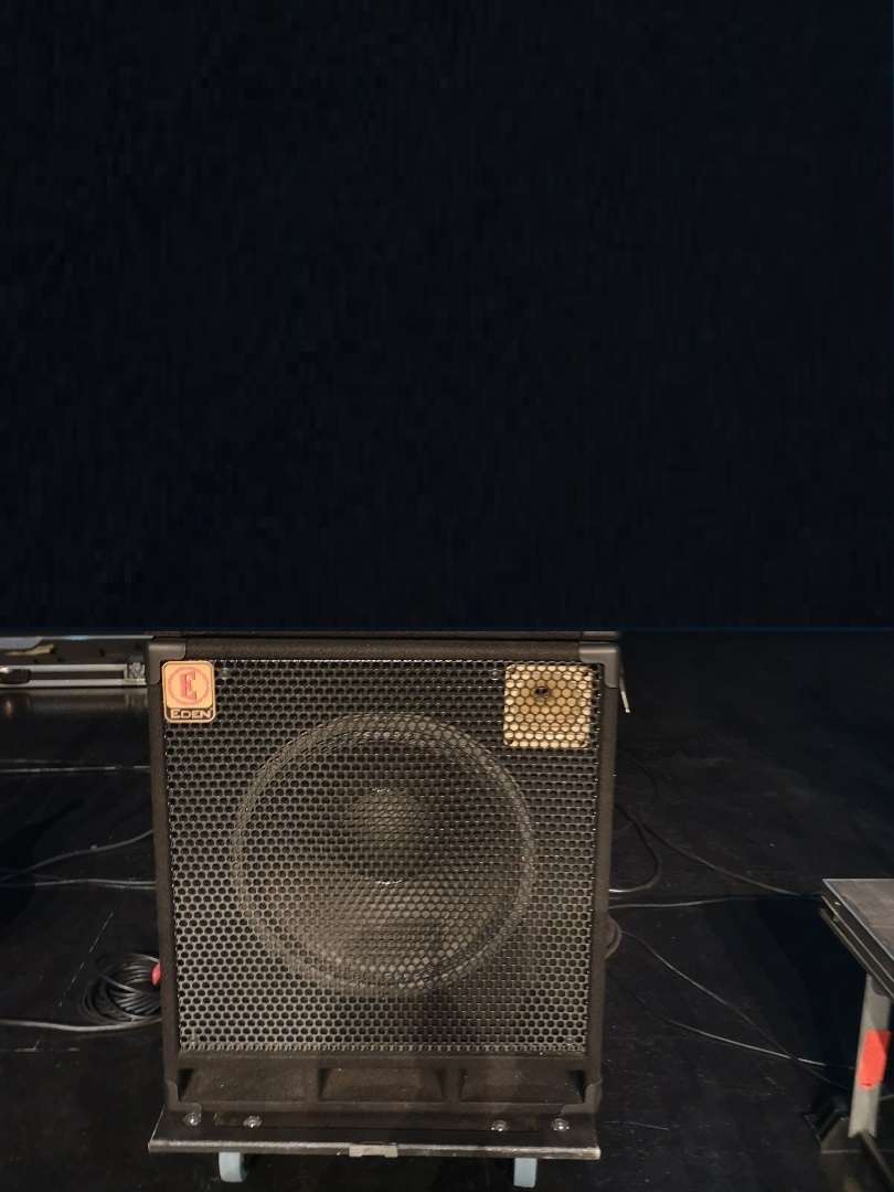 11-Baffle Basse Eden D115 XLT