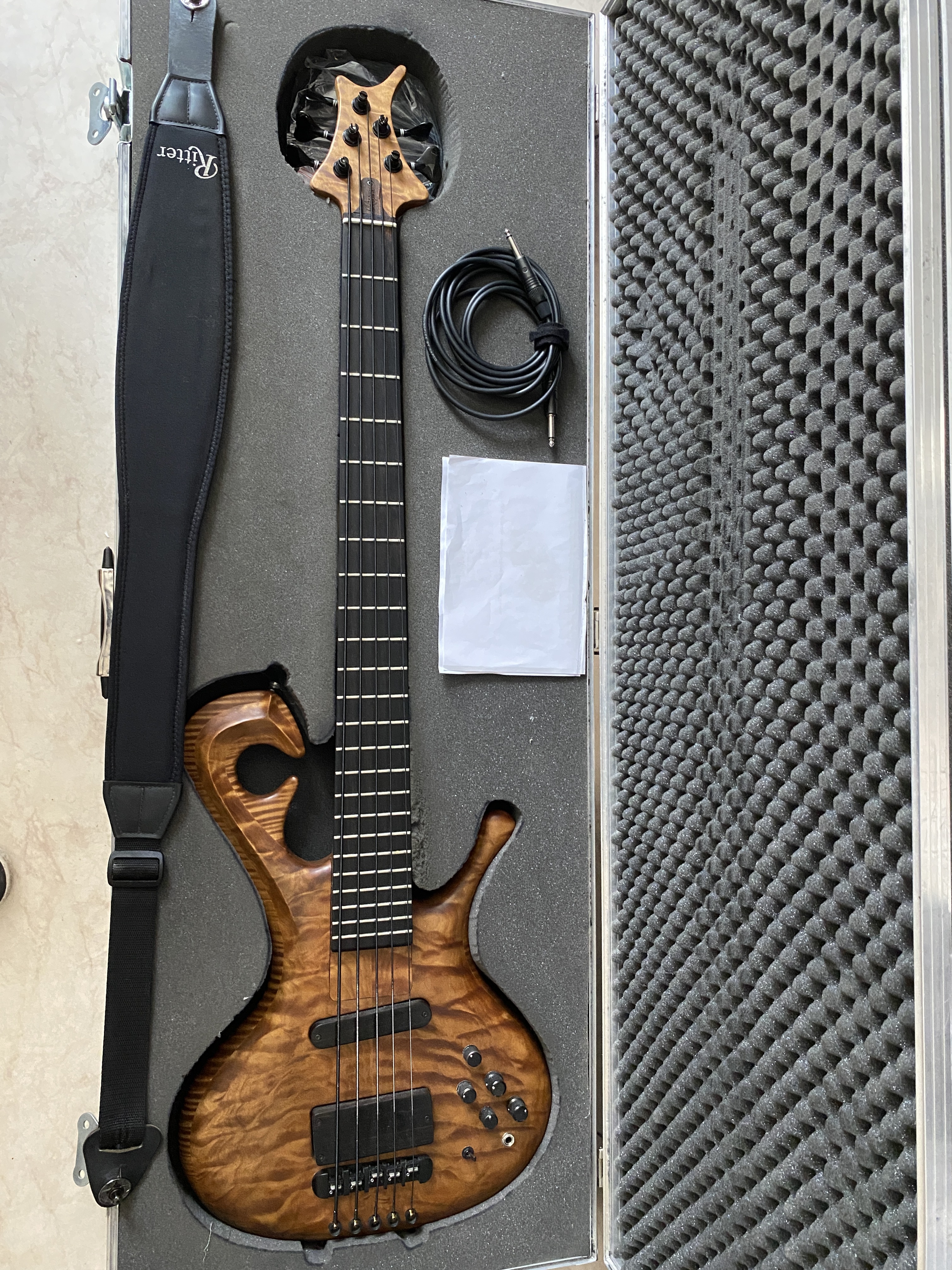 Basse 5 cordes Ritter