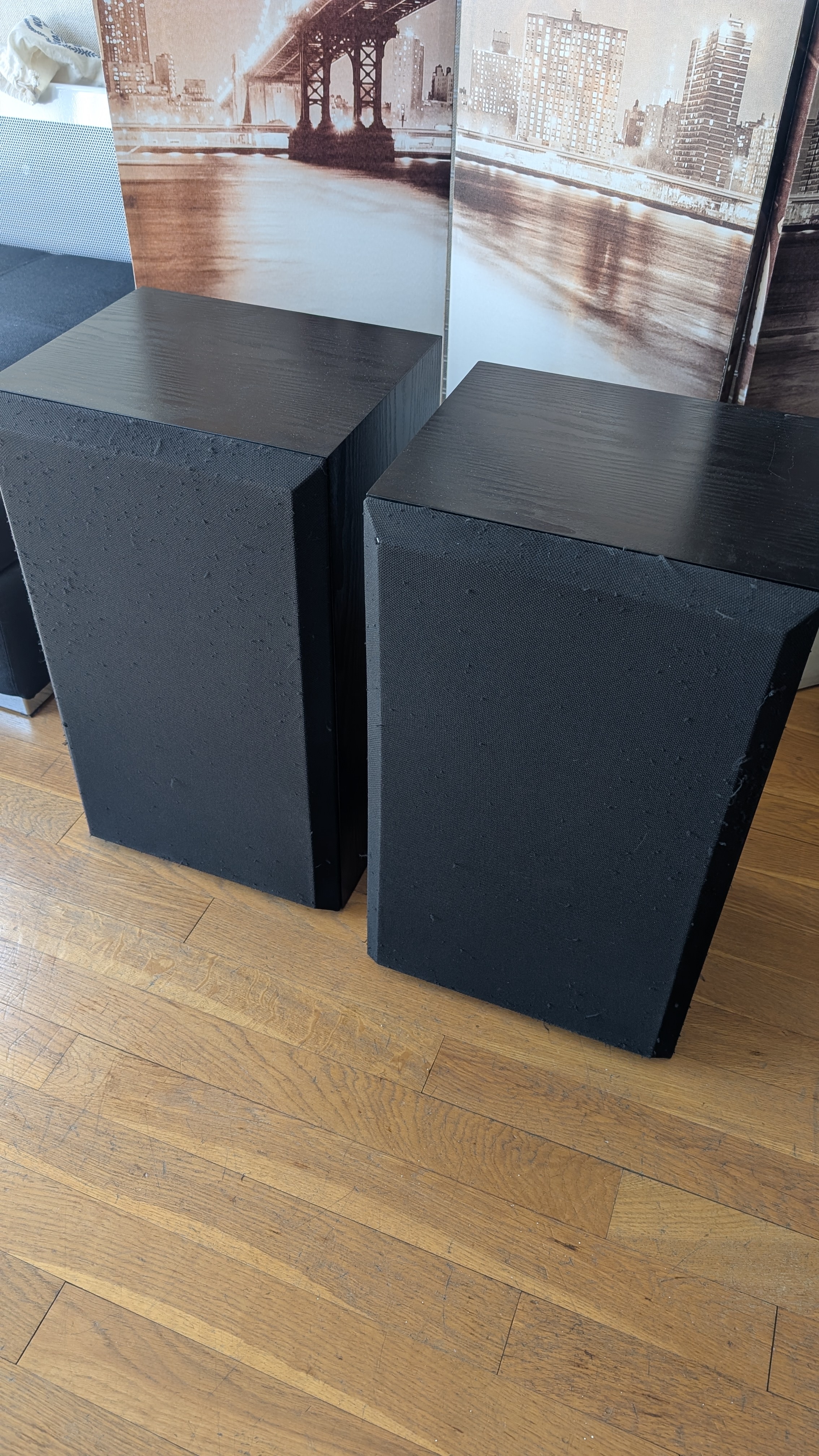 Bose Interaudio 4000XL
