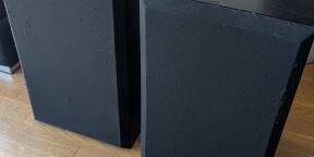 Bose Interaudio 4000XL