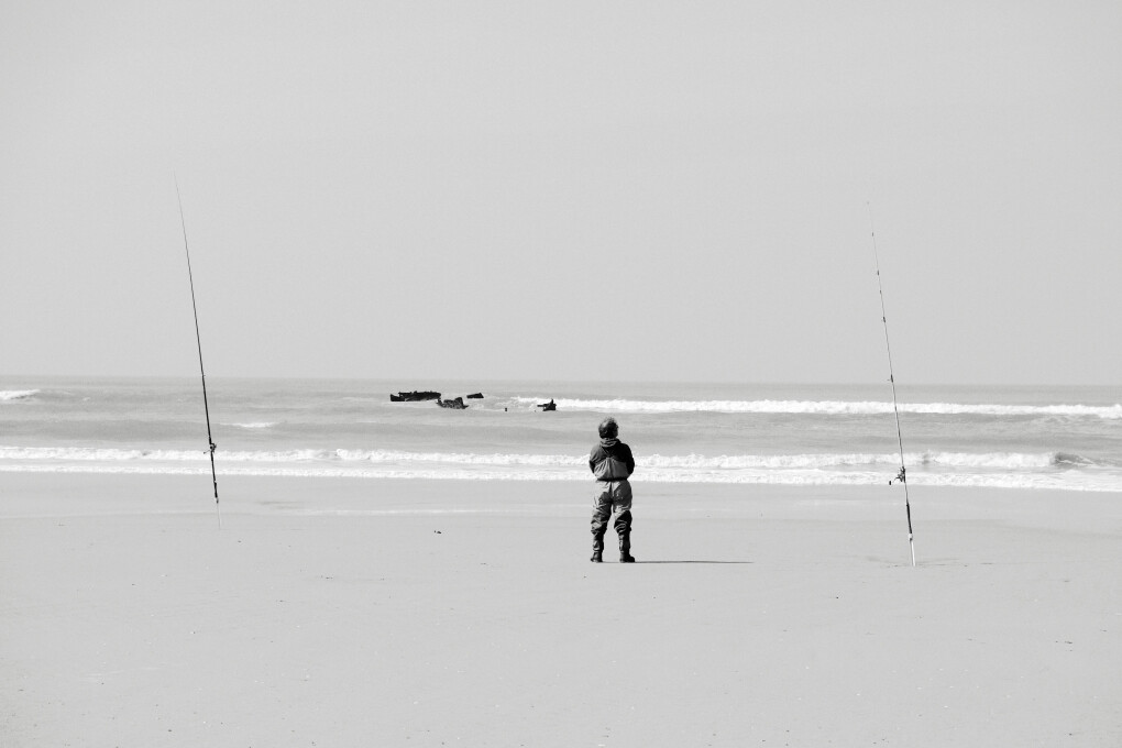 6798152.jpeg 6798152.jpeg