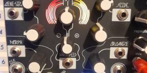 Vends Make Noise Morphagene