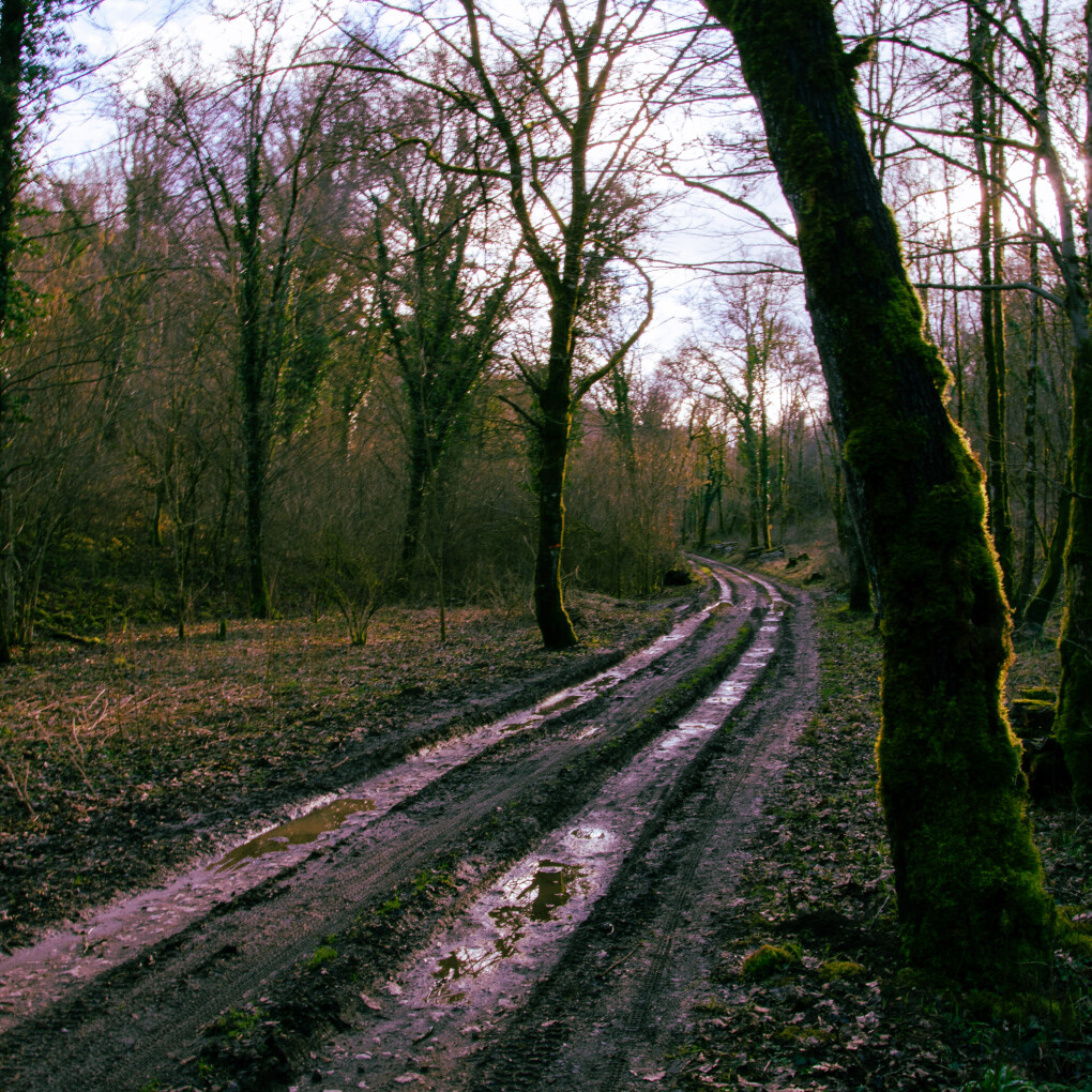 6798882.jpg 6798882.jpg