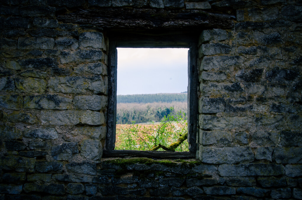 6798883.jpg 6798883.jpg