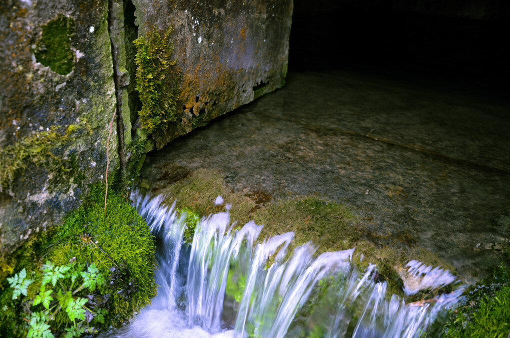 6798884.jpg 6798884.jpg