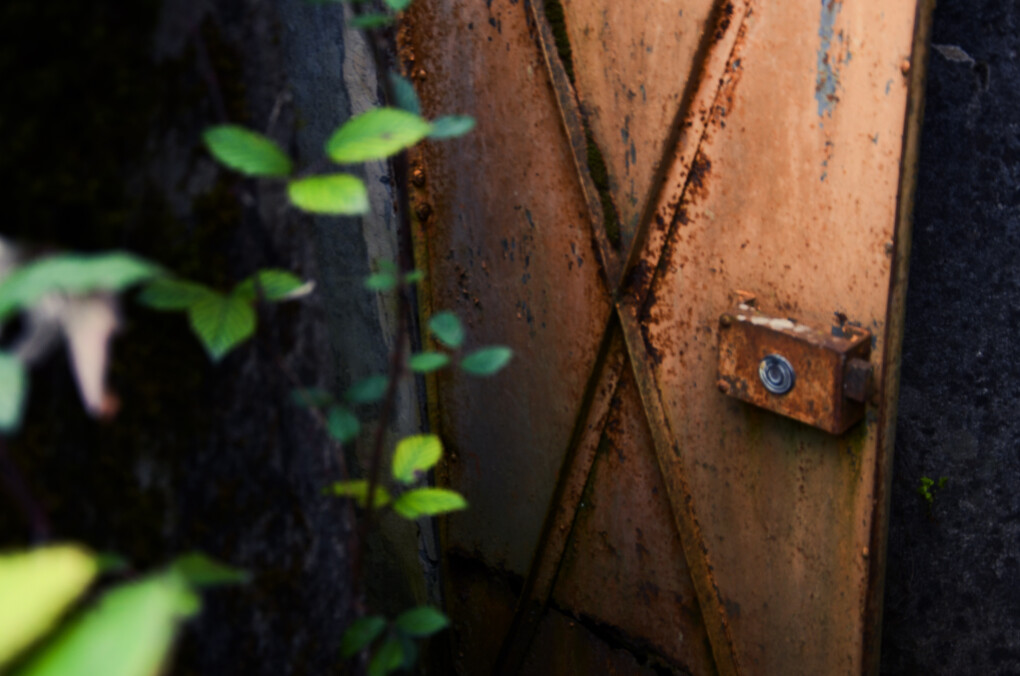 6798885.jpg 6798885.jpg