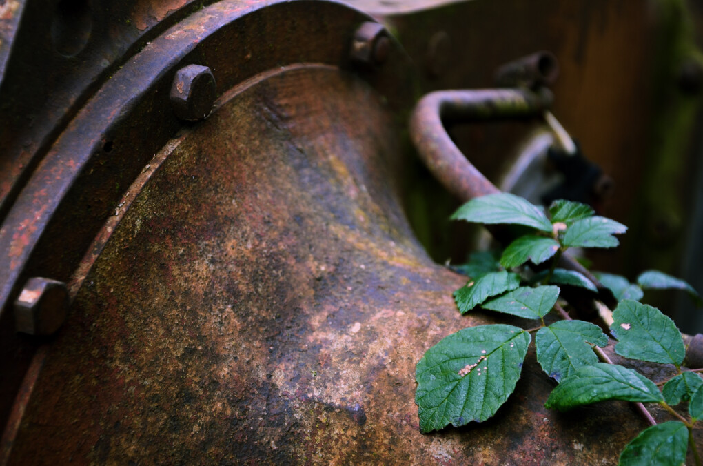 6798886.jpg 6798886.jpg