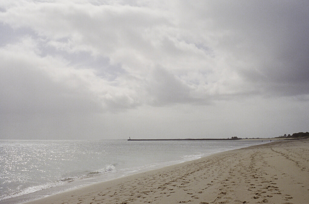 6799265.jpeg 6799265.jpeg