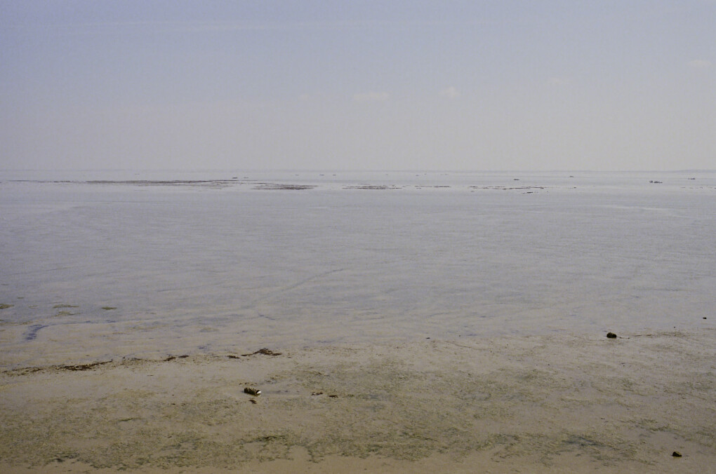 6799267.jpeg 6799267.jpeg