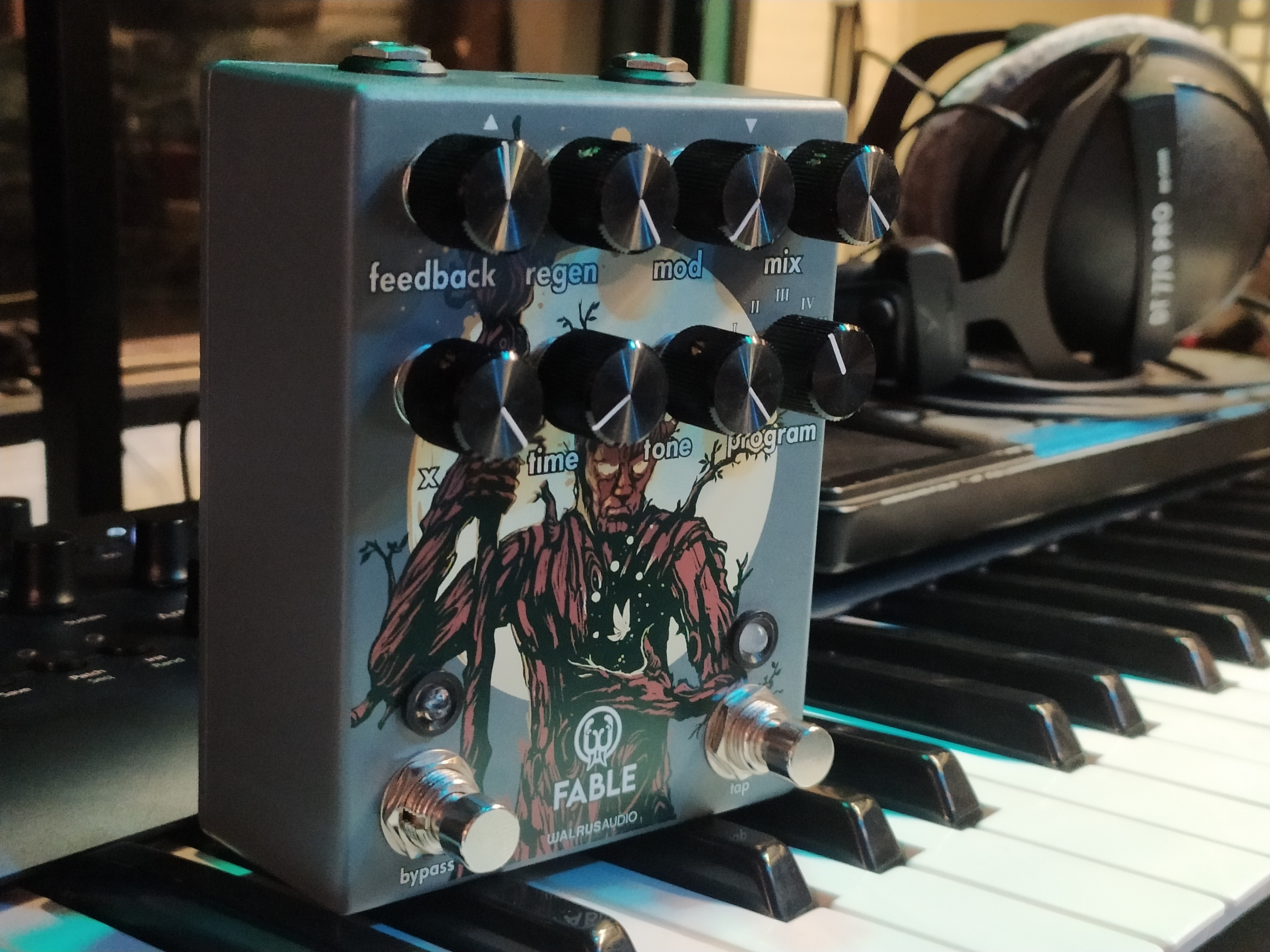 WALRUS AUDIO FABLE (grains âgés d'1 an)